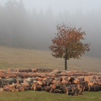 (17/64): Wycieczka w Beskid ywiecki 18.10.2015r.