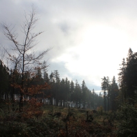 (21/64): Wycieczka w Beskid ywiecki 18.10.2015r.