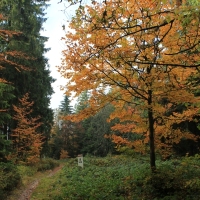 (22/64): Wycieczka w Beskid ywiecki 18.10.2015r.