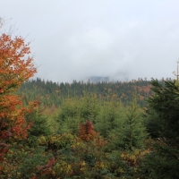 (26/64): Wycieczka w Beskid ywiecki 18.10.2015r.