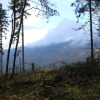 (30/64): Wycieczka w Beskid ywiecki 18.10.2015r.