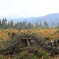 (31/64): Wycieczka w Beskid ywiecki 18.10.2015r.