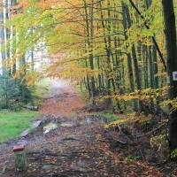 (32/64): Wycieczka w Beskid ywiecki 18.10.2015r.