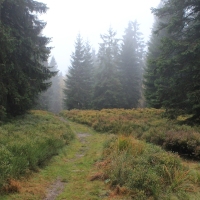 (38/64): Wycieczka w Beskid ywiecki 18.10.2015r.