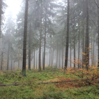 (41/64): Wycieczka w Beskid ywiecki 18.10.2015r.