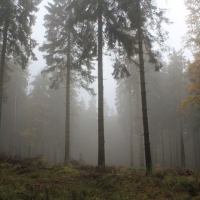 (42/64): Wycieczka w Beskid ywiecki 18.10.2015r.