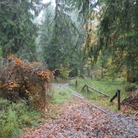 (45/64): Wycieczka w Beskid ywiecki 18.10.2015r.