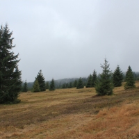 (46/64): Wycieczka w Beskid ywiecki 18.10.2015r.