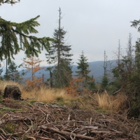 (47/64): Wycieczka w Beskid ywiecki 18.10.2015r.