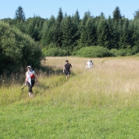 (52/259): Beskid Niski 20-24.07.2015r.