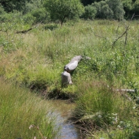 (62/259): Beskid Niski 20-24.07.2015r.