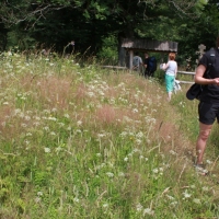 (75/259): Beskid Niski 20-24.07.2015r.