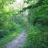 (89/259): Beskid Niski 20-24.07.2015r.