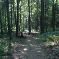 (93/259): Beskid Niski 20-24.07.2015r.