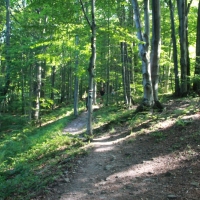 (100/259): Beskid Niski 20-24.07.2015r.