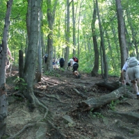 (153/259): Beskid Niski 20-24.07.2015r.