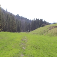 (24/112): Wycieczka w Pieniny - Wysoka - 26.04.2015r.