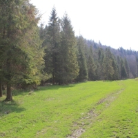 (27/112): Wycieczka w Pieniny - Wysoka - 26.04.2015r.