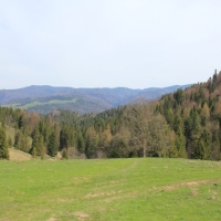 (30/112): Wycieczka w Pieniny - Wysoka - 26.04.2015r.