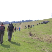 (32/112): Wycieczka w Pieniny - Wysoka - 26.04.2015r.