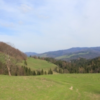 (33/112): Wycieczka w Pieniny - Wysoka - 26.04.2015r.