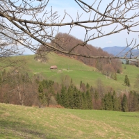 (34/112): Wycieczka w Pieniny - Wysoka - 26.04.2015r.