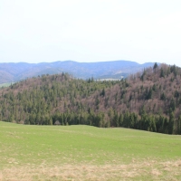 (36/112): Wycieczka w Pieniny - Wysoka - 26.04.2015r.