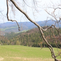 (39/112): Wycieczka w Pieniny - Wysoka - 26.04.2015r.