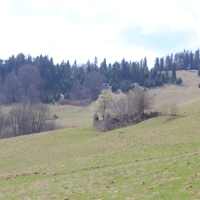 (45/112): Wycieczka w Pieniny - Wysoka - 26.04.2015r.