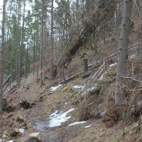 (53/112): Wycieczka w Pieniny - Wysoka - 26.04.2015r.