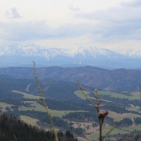 (56/112): Wycieczka w Pieniny - Wysoka - 26.04.2015r.