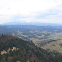 (58/112): Wycieczka w Pieniny - Wysoka - 26.04.2015r.