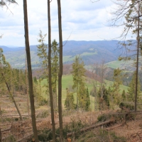 (83/112): Wycieczka w Pieniny - Wysoka - 26.04.2015r.