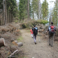 (84/112): Wycieczka w Pieniny - Wysoka - 26.04.2015r.