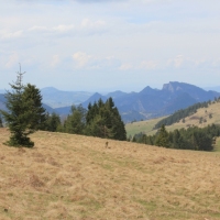 (86/112): Wycieczka w Pieniny - Wysoka - 26.04.2015r.