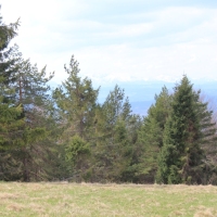 (89/112): Wycieczka w Pieniny - Wysoka - 26.04.2015r.