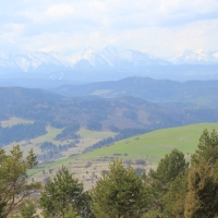 (92/112): Wycieczka w Pieniny - Wysoka - 26.04.2015r.