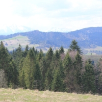 (97/112): Wycieczka w Pieniny - Wysoka - 26.04.2015r.