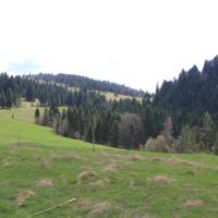 (98/112): Wycieczka w Pieniny - Wysoka - 26.04.2015r.