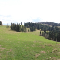 (99/112): Wycieczka w Pieniny - Wysoka - 26.04.2015r.