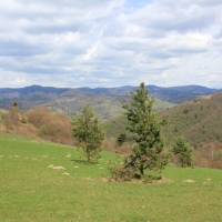 (105/112): Wycieczka w Pieniny - Wysoka - 26.04.2015r.