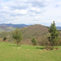 (106/112): Wycieczka w Pieniny - Wysoka - 26.04.2015r.