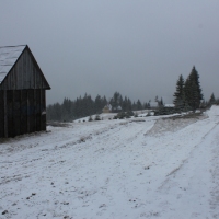 (37/77): Wycieczka na Turbacz 13.03.2016r.