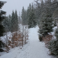 (38/77): Wycieczka na Turbacz 13.03.2016r.