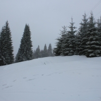 (40/77): Wycieczka na Turbacz 13.03.2016r.