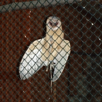 (120/159): 