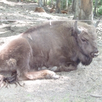 (141/159): 