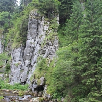 (28/75): Kiry - Dolina Kocieliska - Hala Ornak - Smreczeski Staw 1227 m n.p.m. - Hala Ornak - Dolina Kocieliska - Kiry